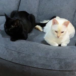 Meet your Posher, Angela